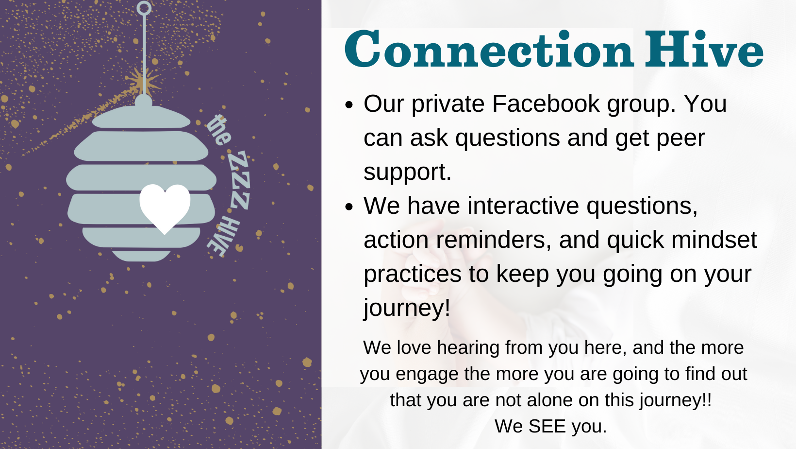 Membership – The Zzz Hive